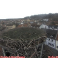 14_40-nest.jpg