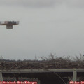 15_00-mast.jpg