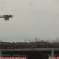 15_10-mast.jpg