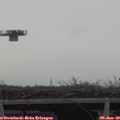 15_20-mast.jpg