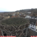 15_25-nest.jpg