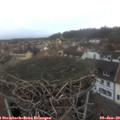 15_30-nest.jpg