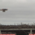 15_40-mast.jpg