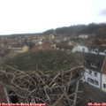 15_45-nest.jpg