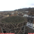 15_55-nest.jpg