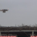 16_05-mast.jpg