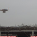 16_10-mast.jpg