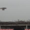 16_15-mast.jpg