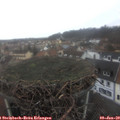 16_15-nest.jpg