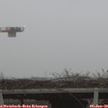 16_20-mast.jpg