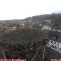 16_20-nest.jpg