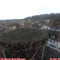 16_30-nest.jpg