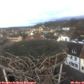 08_25-nest.jpg