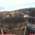 08_40-nest.jpg