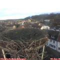 09_00-nest.jpg
