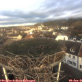 09_15-nest.jpg
