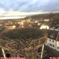 09_25-nest.jpg