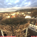 09_30-nest.jpg