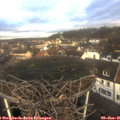 09_35-nest.jpg