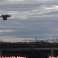 09_55-mast.jpg