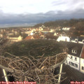 09_55-nest.jpg