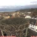 10_00-nest.jpg