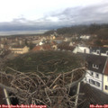 10_05-nest.jpg