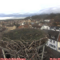 10_10-nest.jpg