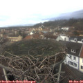 10_25-nest.jpg