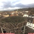 10_30-nest.jpg