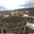 10_35-nest.jpg