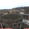 10_45-nest.jpg