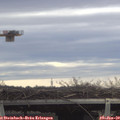10_55-mast.jpg