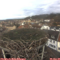 10_55-nest.jpg