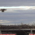 11_00-mast.jpg