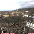 11_00-nest.jpg