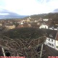 11_05-nest.jpg