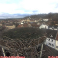 11_10-nest.jpg