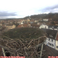 11_20-nest.jpg
