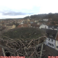 11_25-nest.jpg