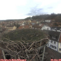 11_30-nest.jpg