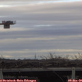 11_35-mast.jpg