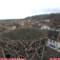 11_40-nest.jpg