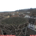 11_45-nest.jpg