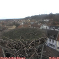 11_50-nest.jpg