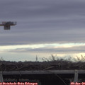11_55-mast.jpg