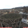 11_55-nest.jpg
