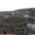 12_00-nest.jpg