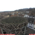 12_05-nest.jpg
