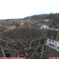 12_10-nest.jpg